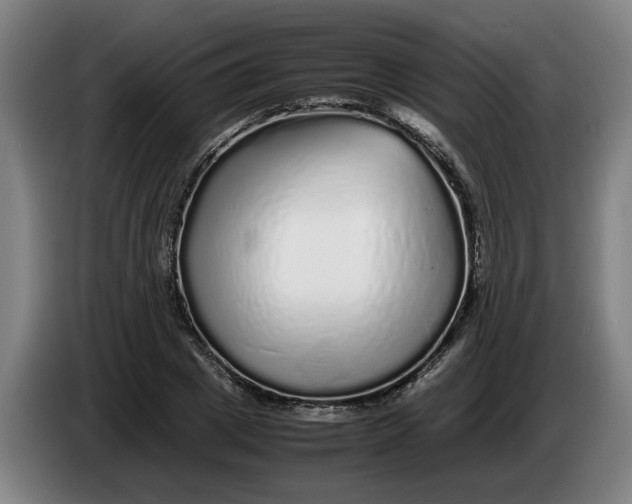 X0000086260833200704191902