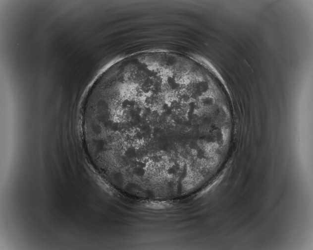 X0000086260835200704191902