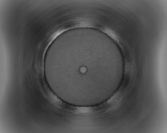 X0000086260836200704191902