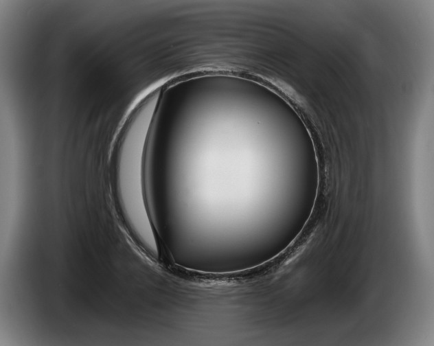 X0000086260838200704191902