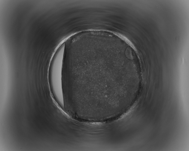 X0000086260839200704191902