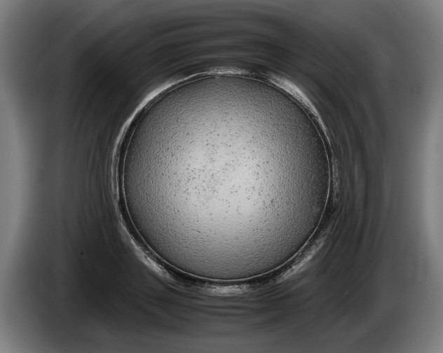 X0000086260843200704191902