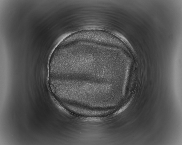 X0000086260844200704191902