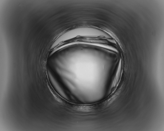 X0000086260849200704191902