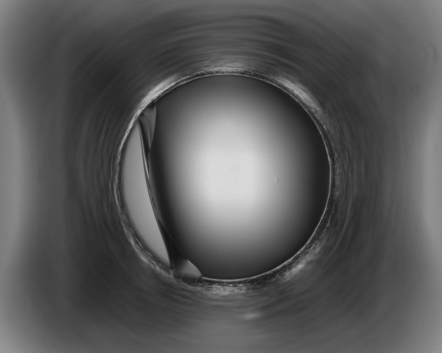 X0000086260850200704191902