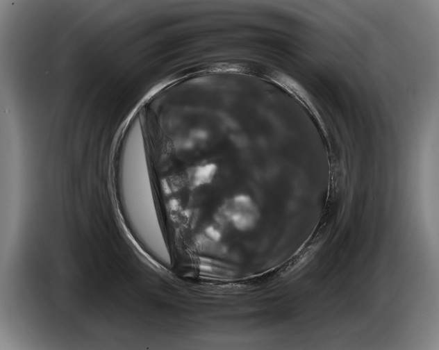 X0000086260851200704191902