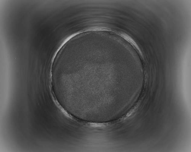 X0000086260852200704191902