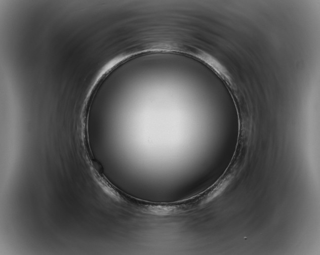 X0000086260854200704191902