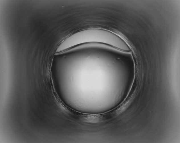 X0000086260857200704191902