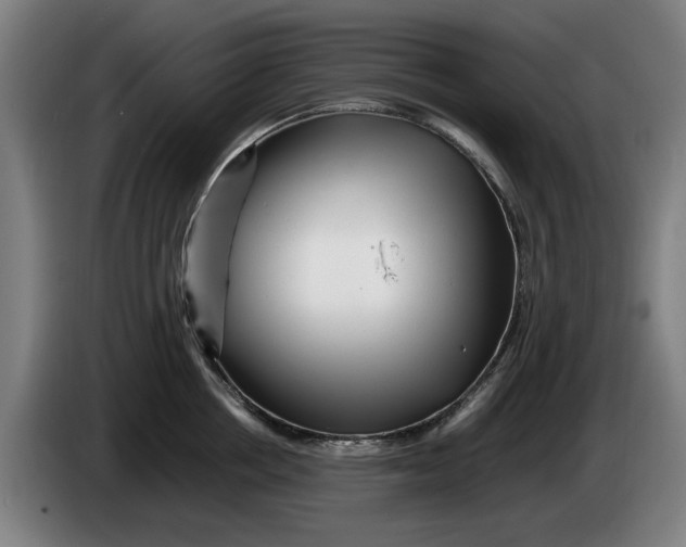 X0000086260858200704191902