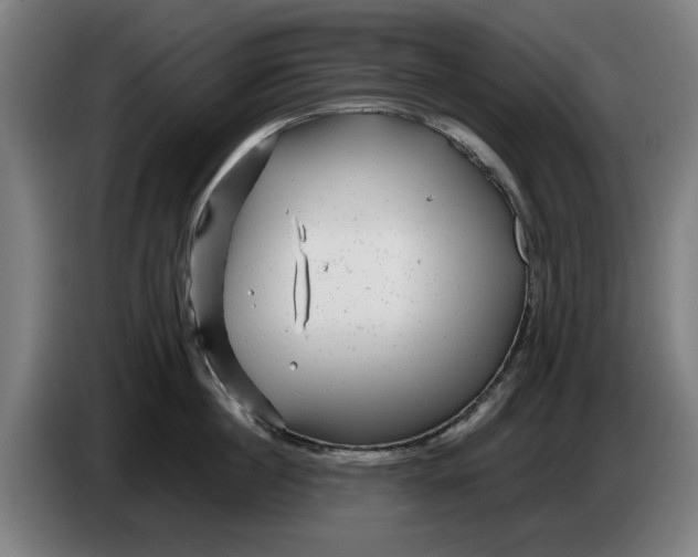 X0000086260860200704191902