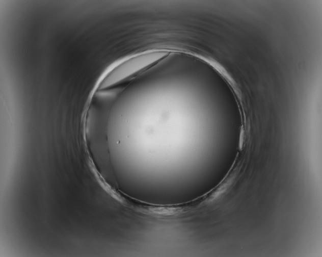 X0000086260862200704191902