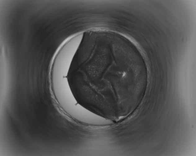 X0000086260864200704191902