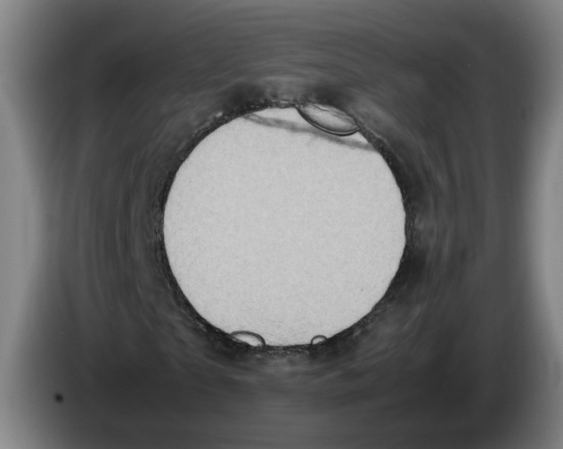 X0000086260865200704191901