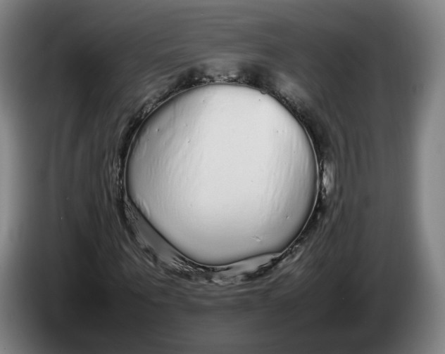 X0000086260867200704191901