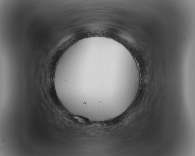 X0000086260869200704191901