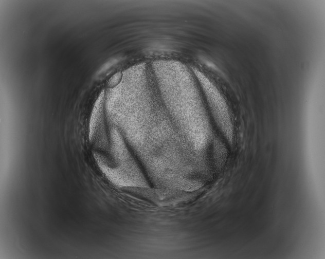 X0000086260870200704191901