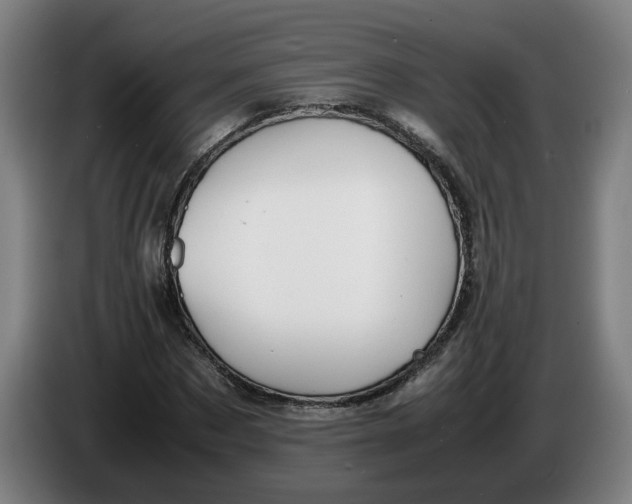X0000086260873200704191901