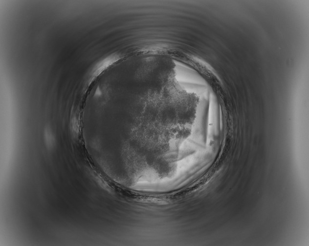 X0000086260874200704191901