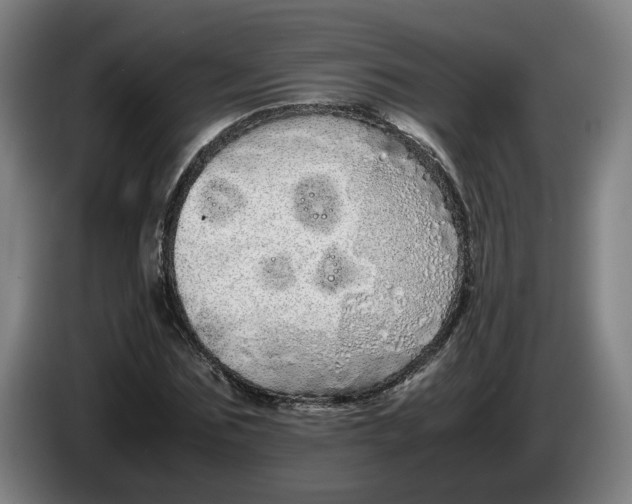 X0000086260875200704191901