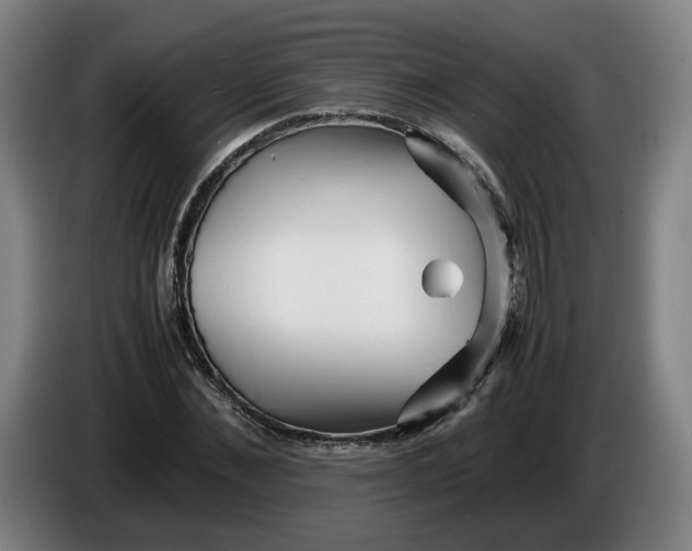 X0000086260876200704191901