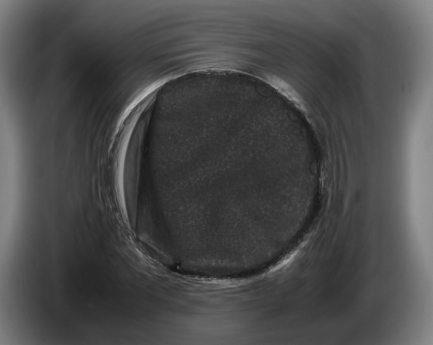 X0000086260877200704191901