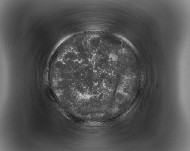 X0000086260878200704191901