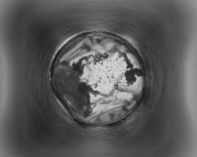 X0000086260879200704191901