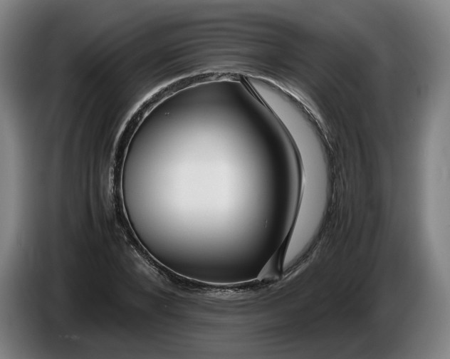 X0000086260880200704191901