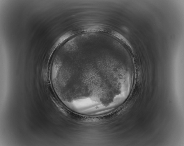 X0000086260882200704191901