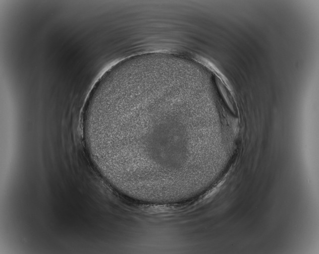 X0000086260883200704191901