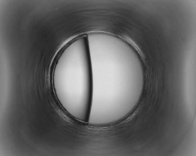 X0000086260884200704191901