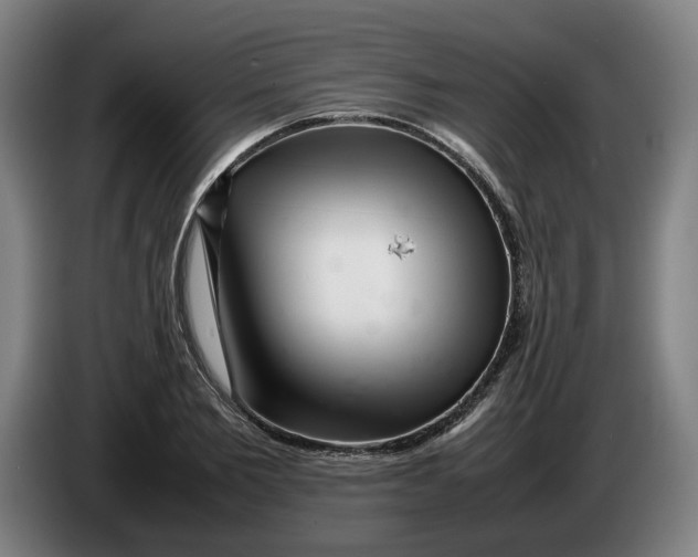 X0000086260885200704191901