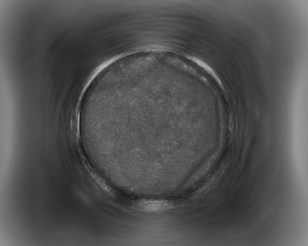 X0000086260886200704191901