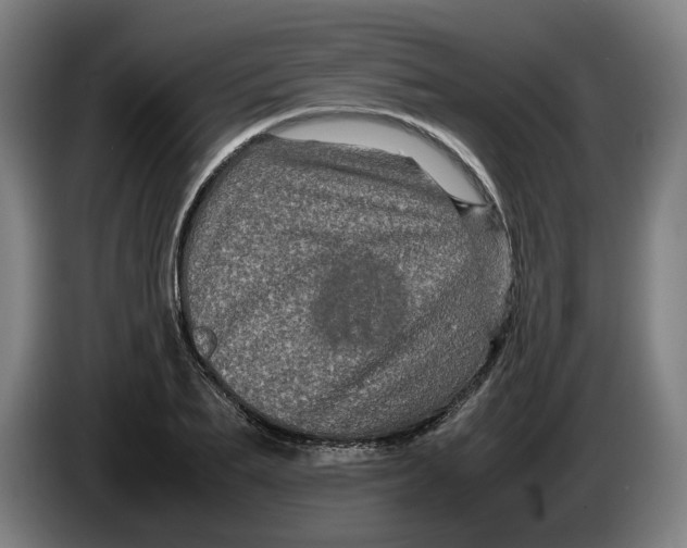 X0000086260887200704191901