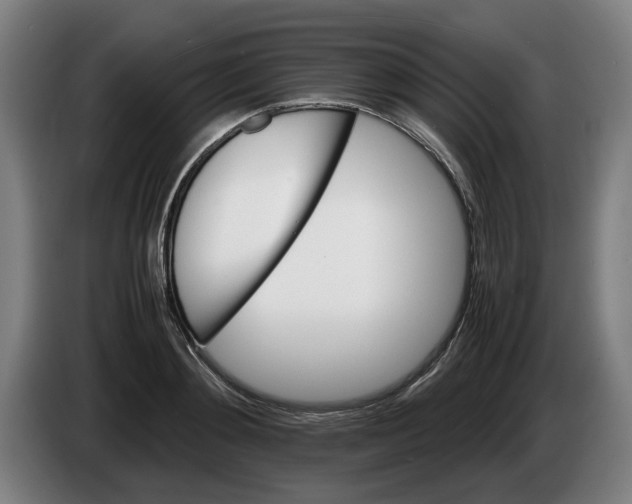 X0000086260892200704191901