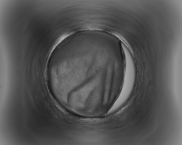 X0000086260893200704191901