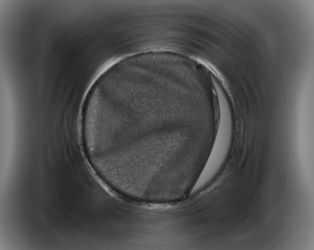 X0000086260894200704191901