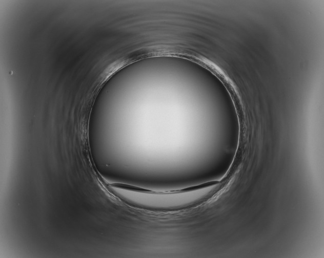 X0000086260897200704191901