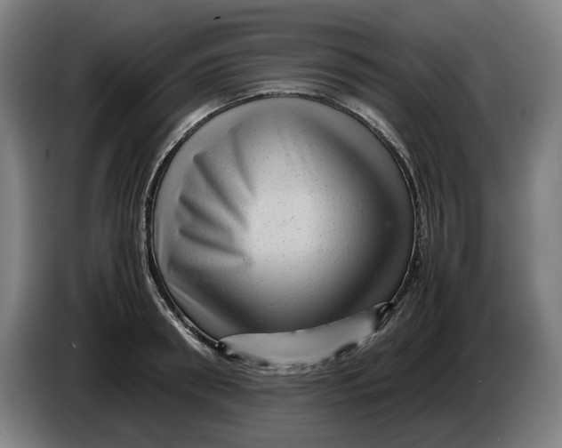 X0000086260898200704191901