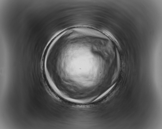 X0000086260900200704191901