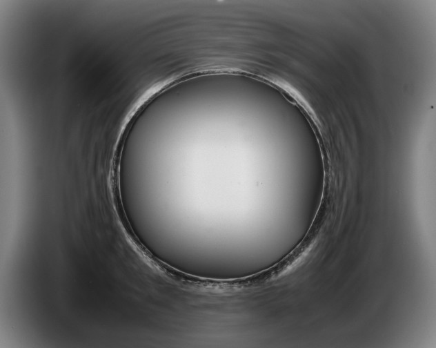 X0000086260901200704191901