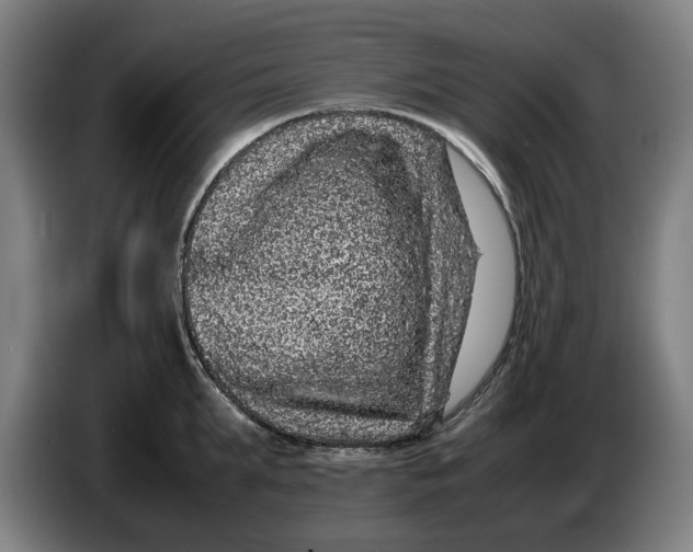 X0000086260903200704191901