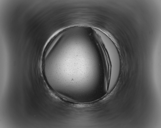 X0000086260904200704191901