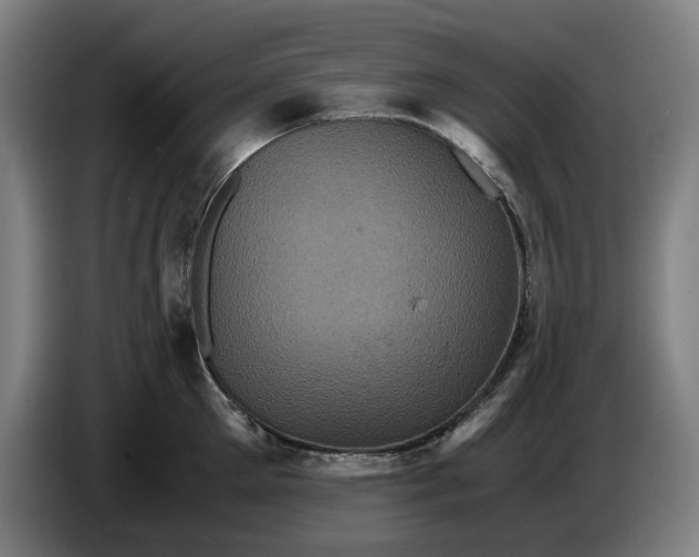 X0000086260905200704191901