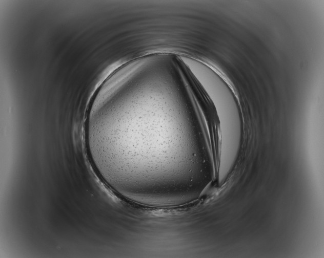 X0000086260906200704191901