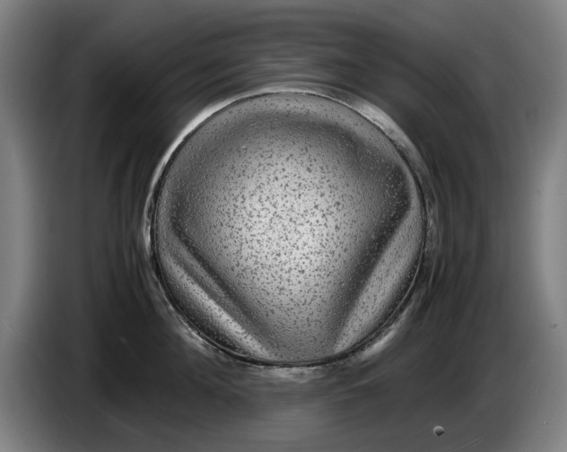 X0000086260908200704191901