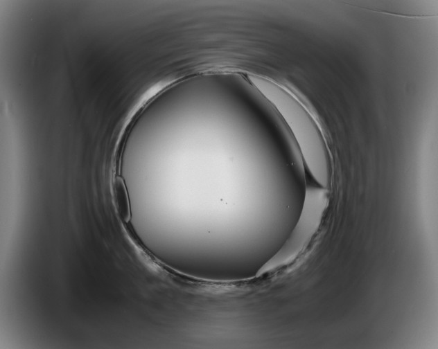 X0000086260909200704191901