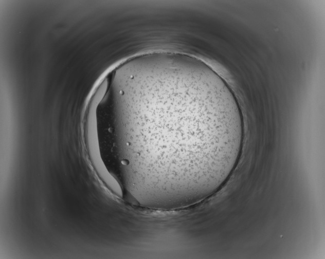 X0000086260912200704191901