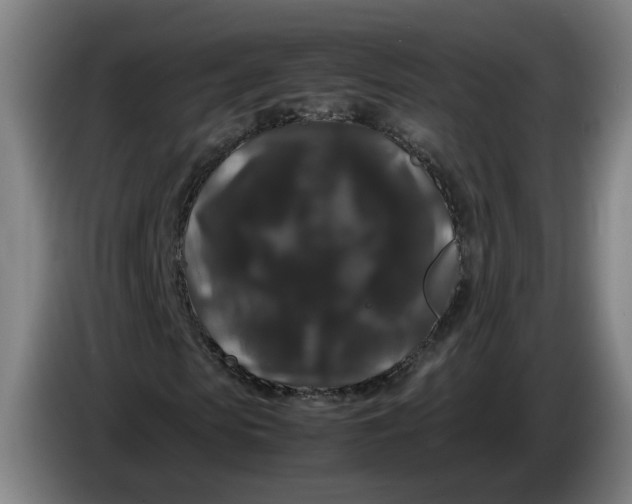 X0000086260913200704191900